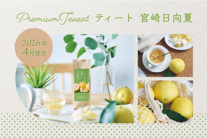 ティート 宮崎日向夏